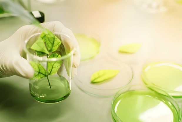 a-natural-solution-for-your-oral-health-that-is-supported-by-research-and-innovation