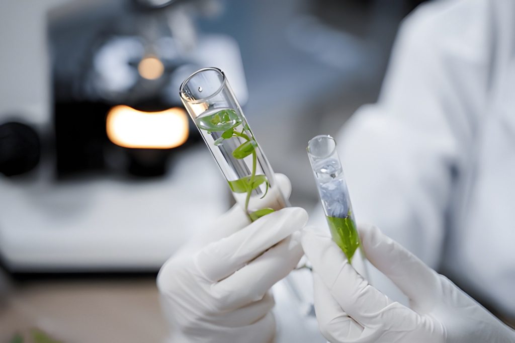 science-and-natural-blend-min